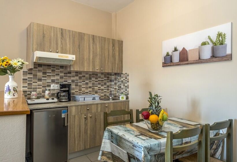 דירת חדר, Theos Village Apartments