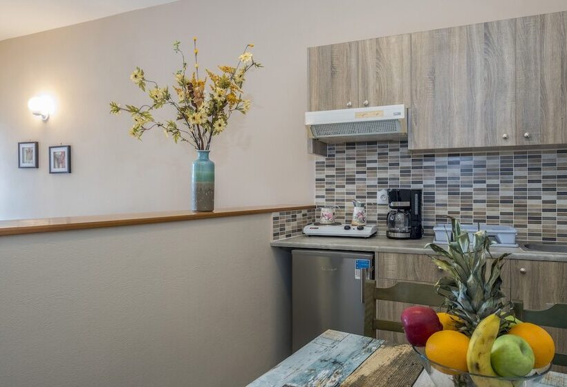 דירת חדר, Theos Village Apartments