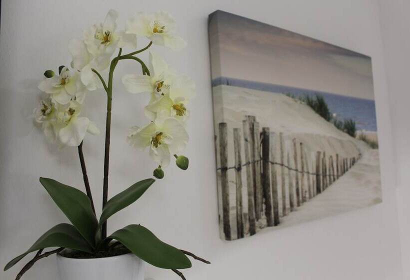 1 Szobás Comfortos Apartman, Violeta Hvar