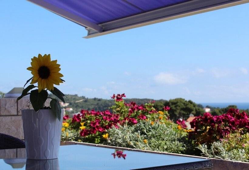 1 Szobás Comfortos Apartman, Violeta Hvar