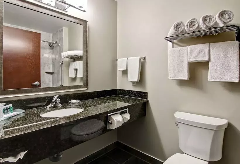 اتاق استاندارد با 2 تخت دوبل, Best Western Plus Brandon Inn