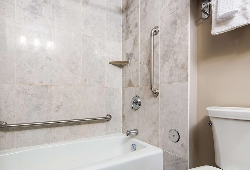 غرفه قياسيه سريرين مزدوجين, Best Western Plus Brandon Inn