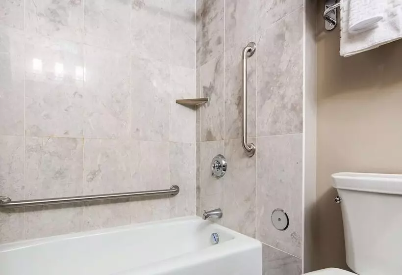 اتاق استاندارد با 2 تخت دوبل, Best Western Plus Brandon Inn