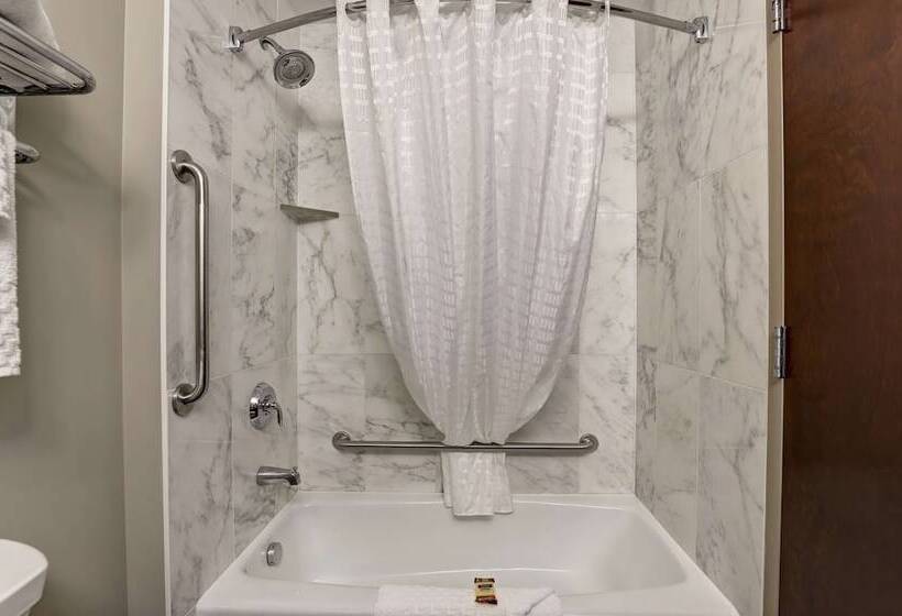 غرفه قياسيه سريرين مزدوجين, Best Western Plus Brandon Inn