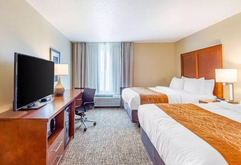 スタンダードルーム, Comfort Inn Dekalb  Adjacent The University