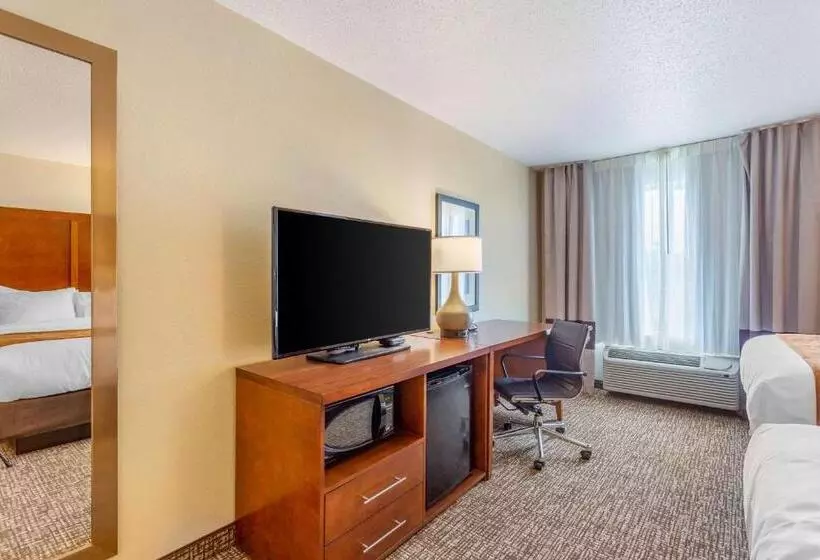 スタンダードルーム, Comfort Inn Dekalb  Adjacent The University
