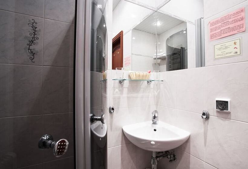 スタンダードルーム, Nevsky Contour