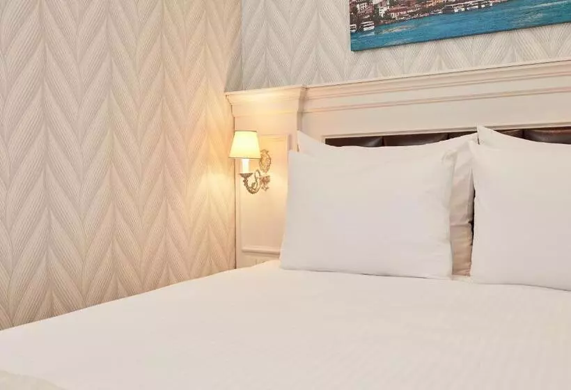 Standard Room, Albinas Hotel Old City