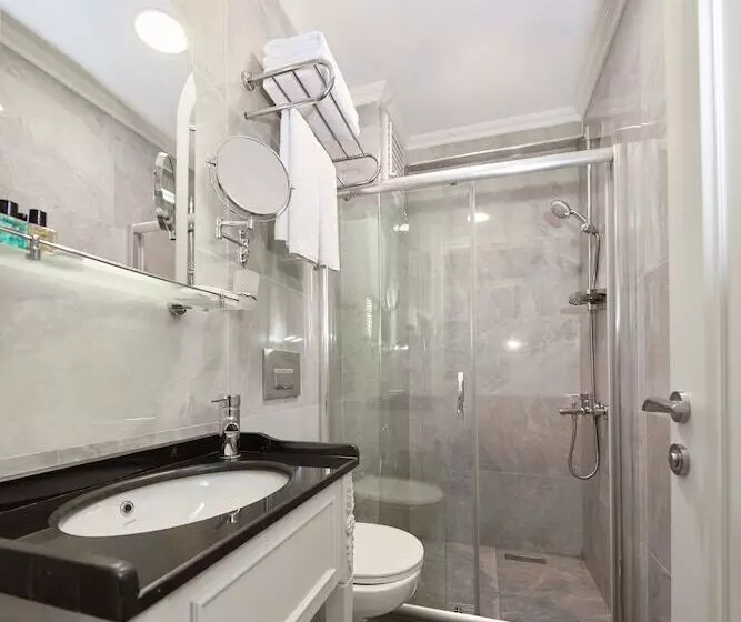 Standard Room, Albinas Hotel Old City
