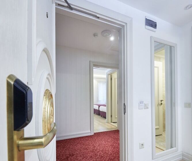 اتاق خانوادگی تودرتو, Albinas Hotel Old City