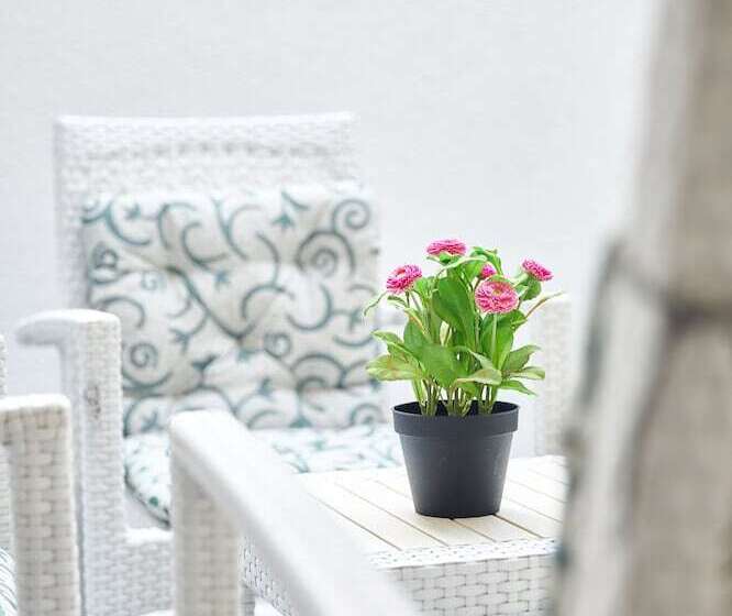 استودیوی استاندارد, Albinas Hotel Old City