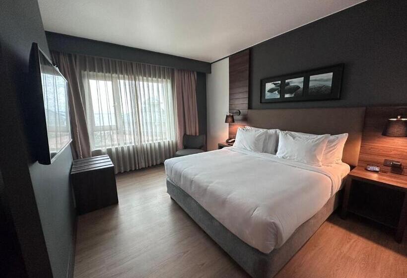 חדר סטנדרט עם מיטת קינג, Courtyard By Marriott Puerto Montt
