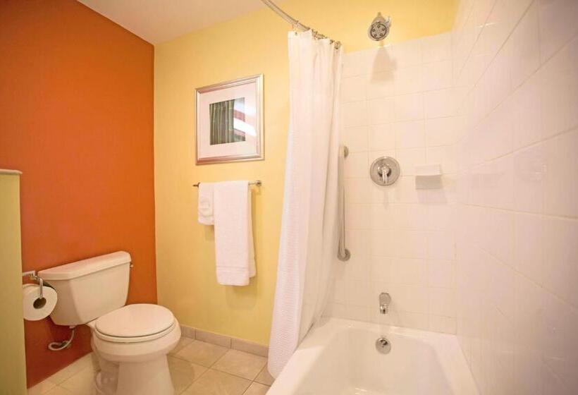 Standardzimmer Kingsize Bett, Courtyard By Marriott Paramaribo