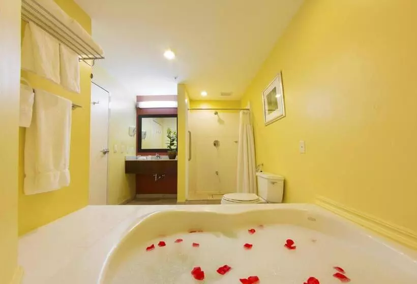 2 Schlafzimmer Suite, Courtyard By Marriott Paramaribo