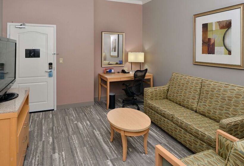 小型套房, Hilton Garden Inn Denton