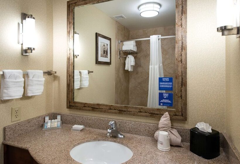 适合残疾人士使用的带超级大床的标准间, Hilton Garden Inn Denton