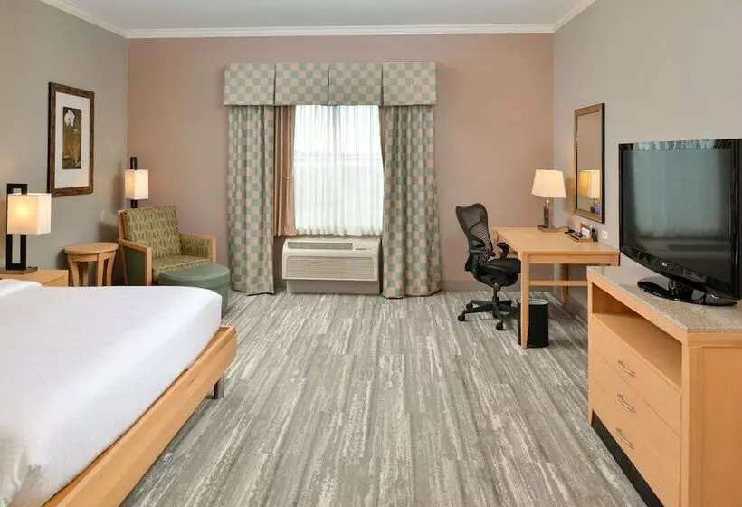 身障者適用キングサイズベッドルーム, Hilton Garden Inn Denton