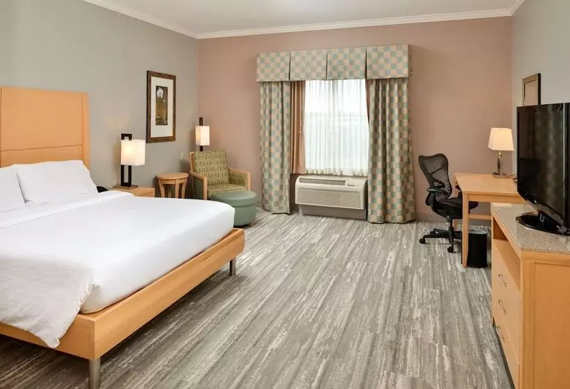 身障者適用キングサイズベッドルーム, Hilton Garden Inn Denton