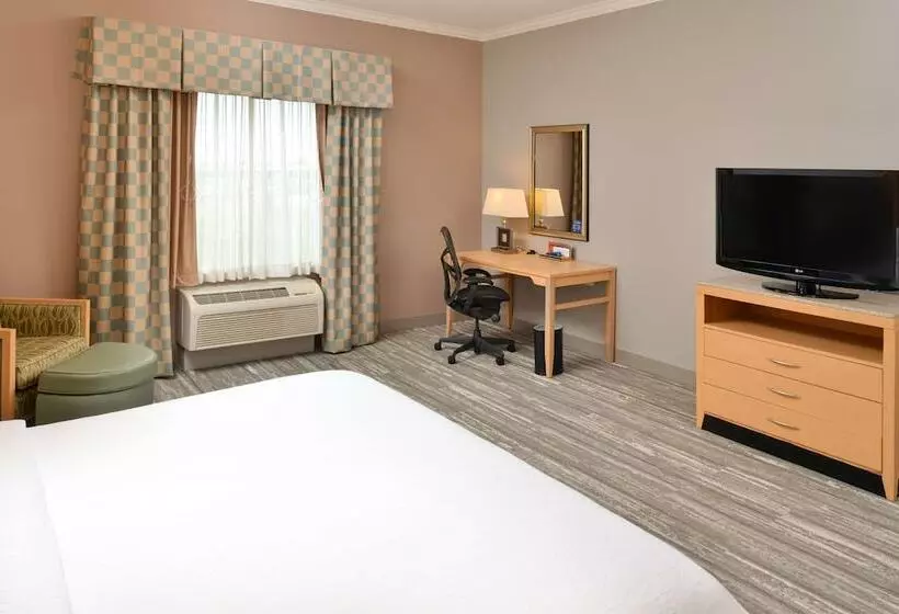 身障者適用キングサイズベッドルーム, Hilton Garden Inn Denton