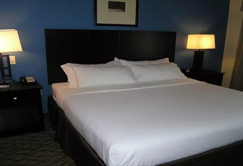 身障者適用ダブルベッド付きスタンダードルーム, Holiday Inn Express & Suites Belle Vernon By Ihg