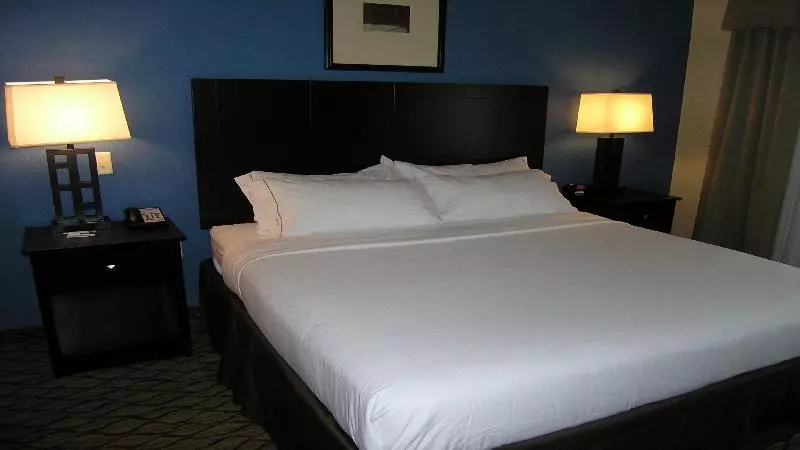 キングサイズベッドのスタンダードルーム, Holiday Inn Express & Suites Belle Vernon By Ihg