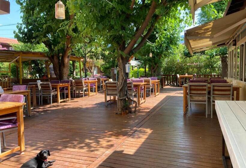 اتاق راحتی یک تخته, Kutle