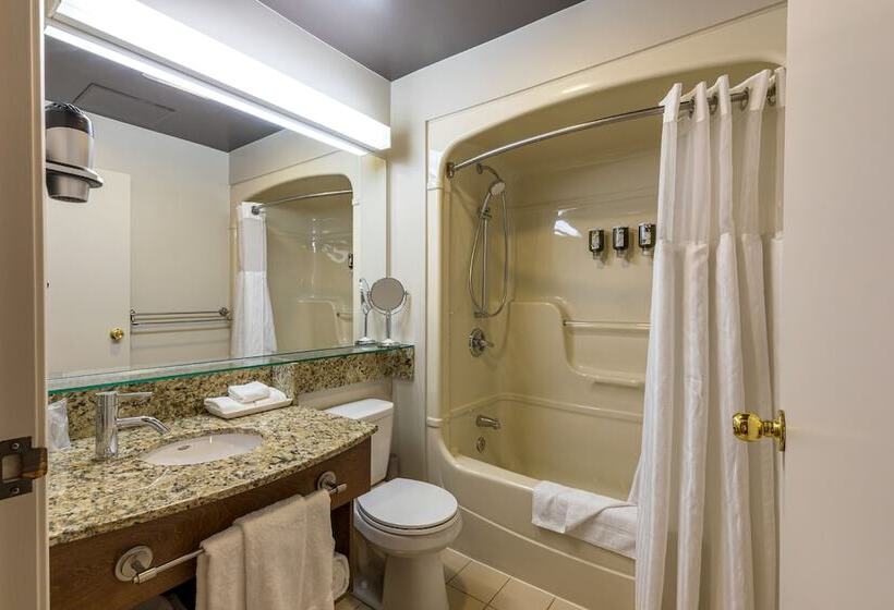 חדר סופריור עם מיטת קינג, N Hôtel Québec