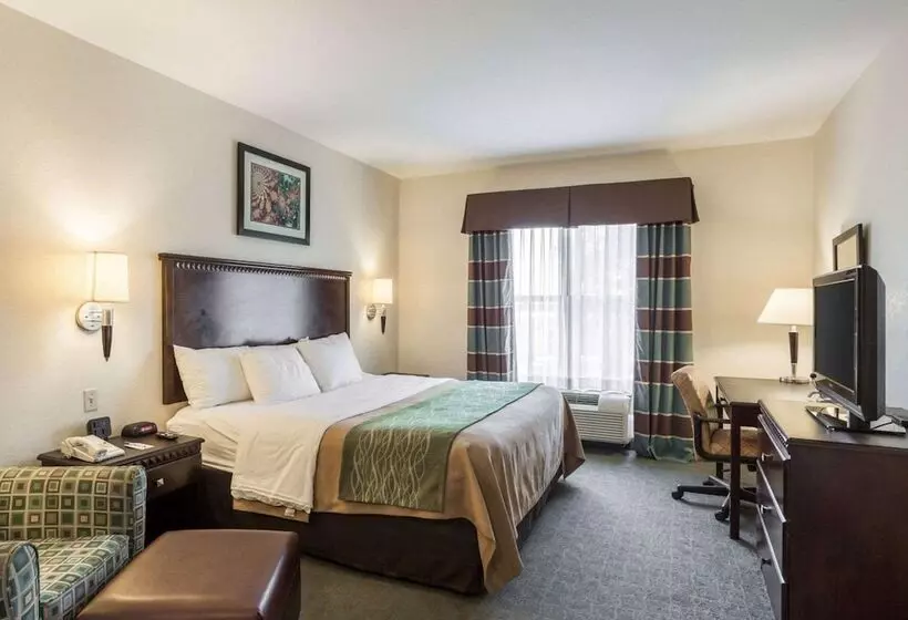 身障者適用スイートルーム, Quality Inn Donaldsonville  Gonzales