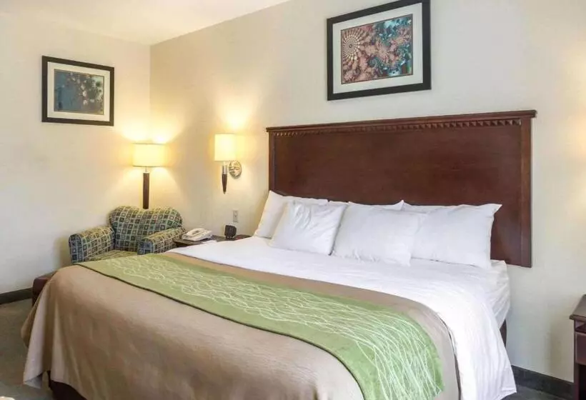 キングサイズベッドのスタンダードルーム, Quality Inn Donaldsonville  Gonzales