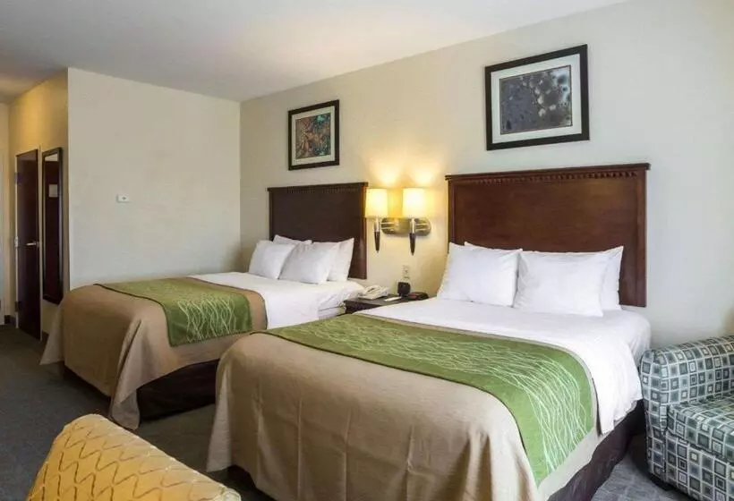 スタンダードルーム, Quality Inn Donaldsonville  Gonzales