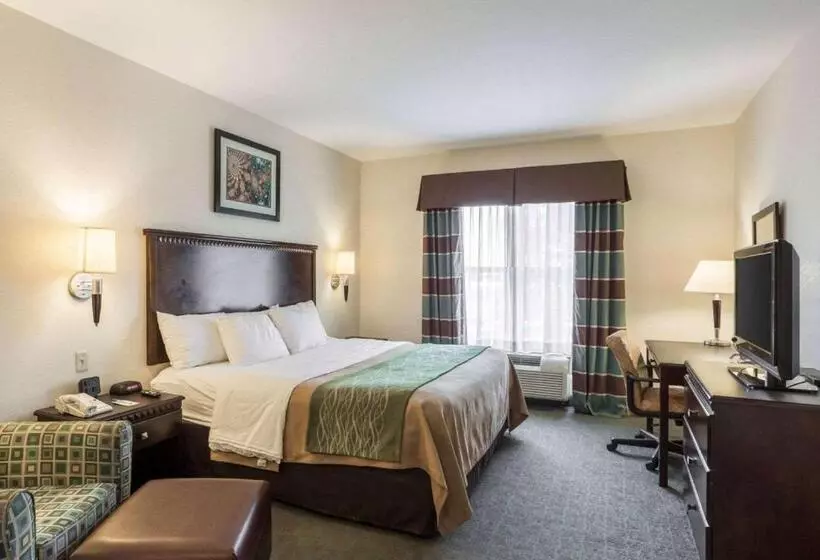 キングサイズベッドのスイートルーム, Quality Inn Donaldsonville  Gonzales
