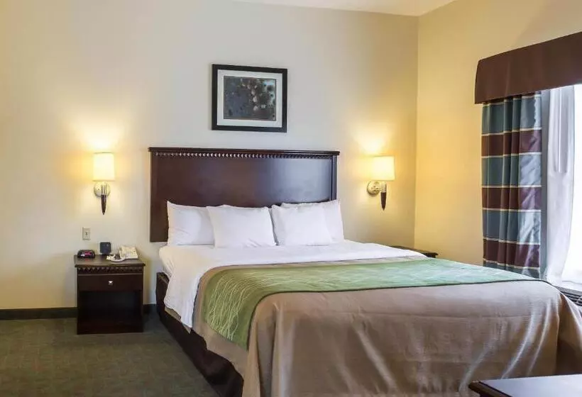 身障者適用キングサイズベッドルーム, Quality Inn Donaldsonville  Gonzales