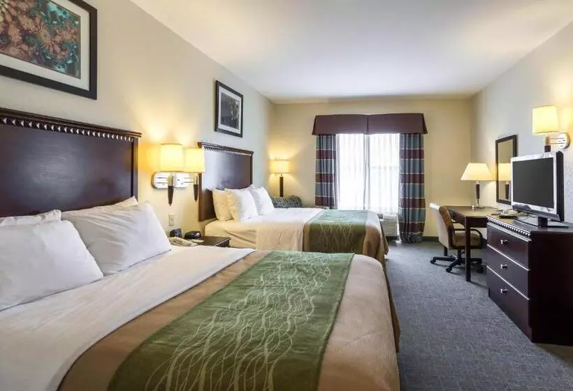 身障者適用クイーンサイズベッドルーム, Quality Inn Donaldsonville  Gonzales