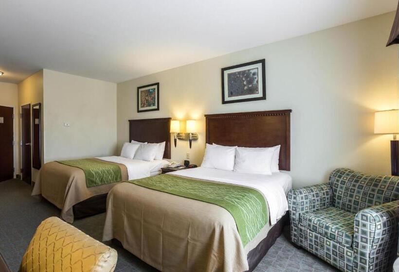 غرفة قياسية سرير ملكى لذوى الإحتياجات الخاصة, Quality Inn Donaldsonville  Gonzales