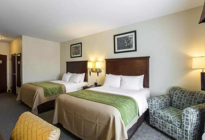 身障者適用クイーンサイズベッドルーム, Quality Inn Donaldsonville  Gonzales