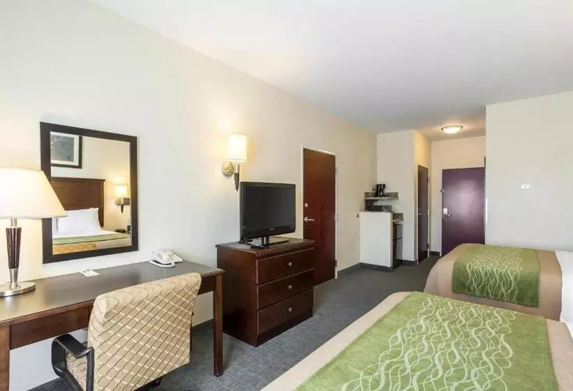 身障者適用クイーンサイズベッドルーム, Quality Inn Donaldsonville  Gonzales