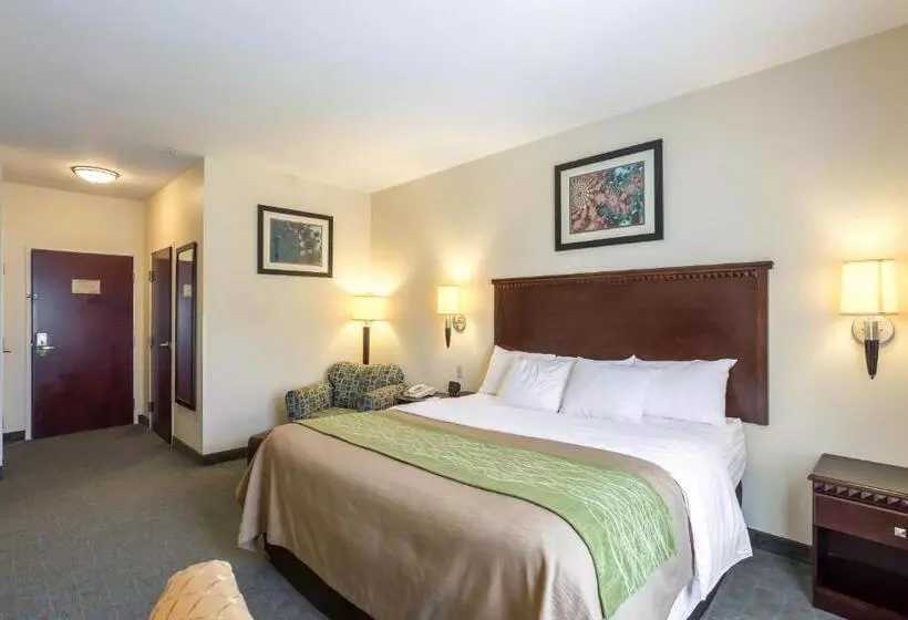 身障者適用スイートルーム, Quality Inn Donaldsonville  Gonzales