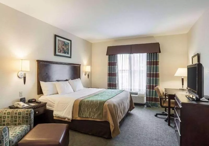スタンダードルーム, Quality Inn Donaldsonville  Gonzales