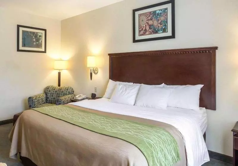 スタンダードルーム, Quality Inn Donaldsonville  Gonzales