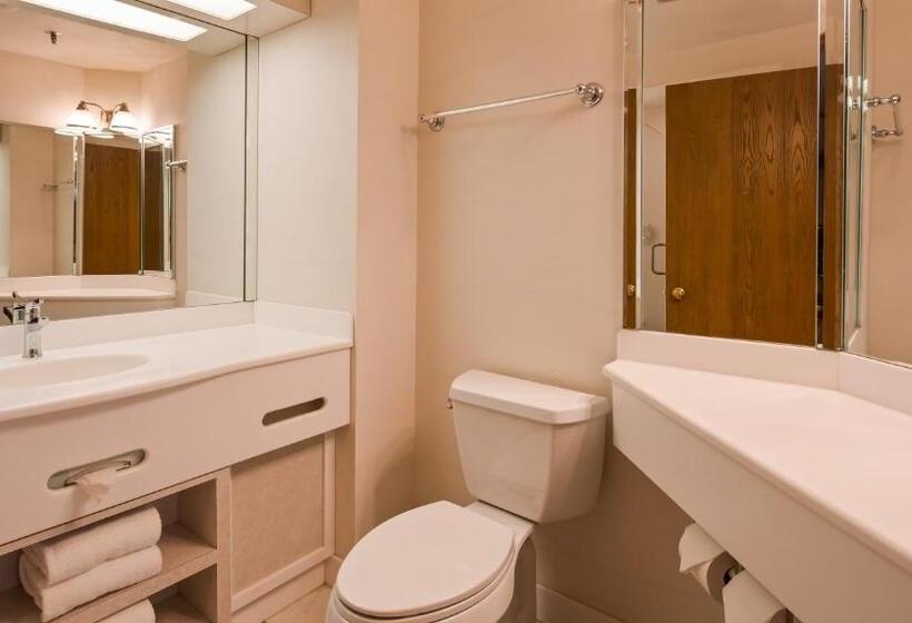 디럭스 스위트 킹 침대, Best Western Galena Inn & Suites