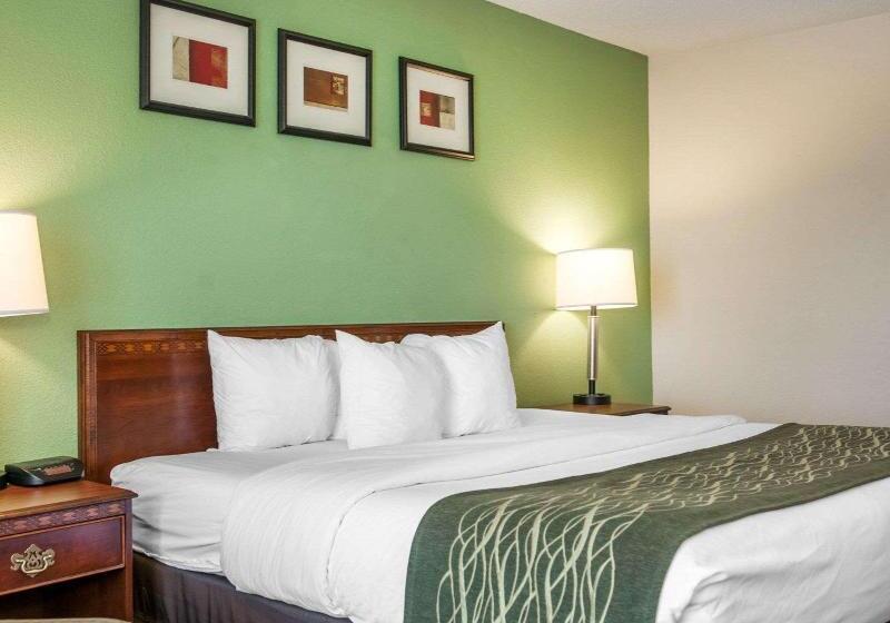 غرفة قياسية سرير كينج, Comfort Inn