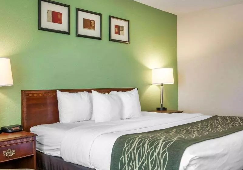 キングサイズベッドのスタンダードルーム, Comfort Inn
