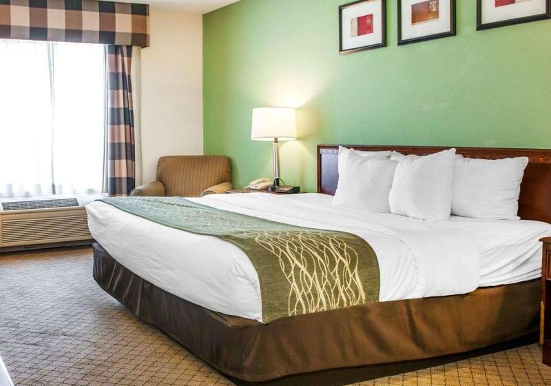 غرفة قياسية سرير كينج, Comfort Inn