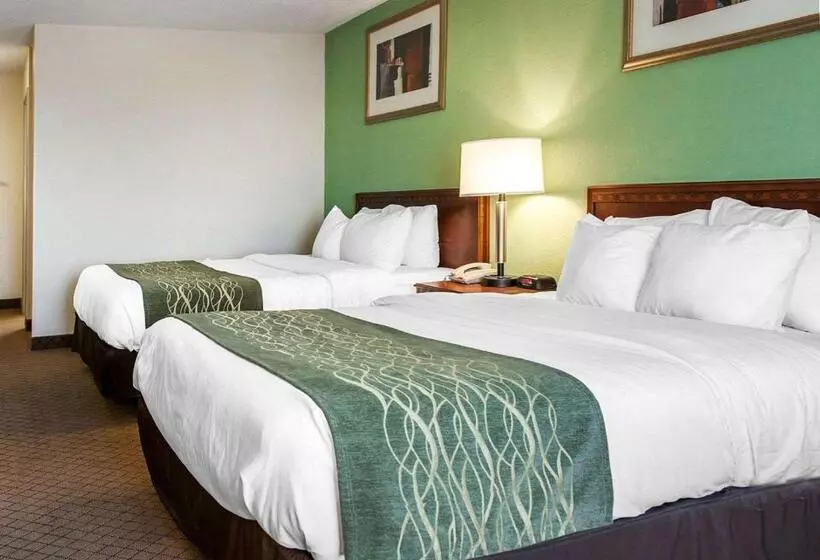 Standard-huone, Comfort Inn