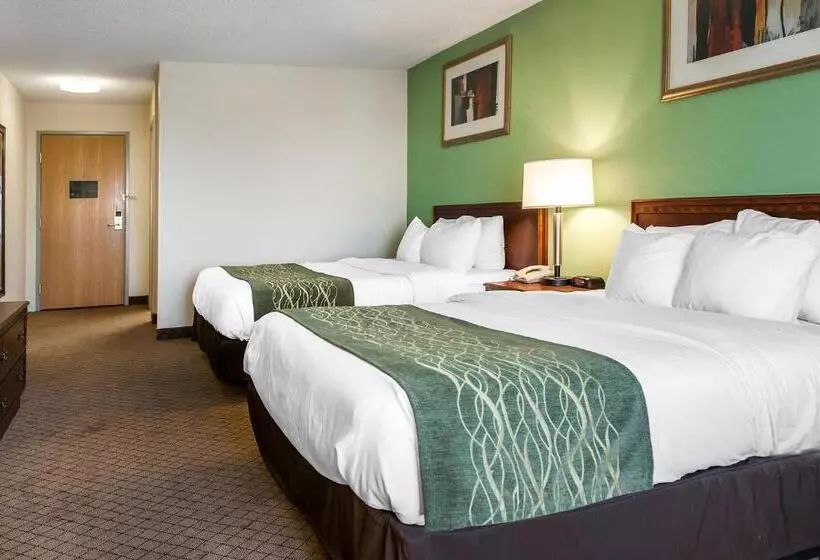 Standard-huone, Comfort Inn