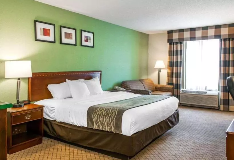 身障者適用キングサイズベッドルーム, Comfort Inn