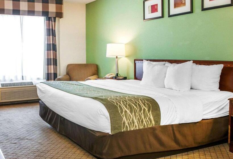 غرفة قياسية سرير كينج لذوى الإحتياجات الخاصة, Comfort Inn