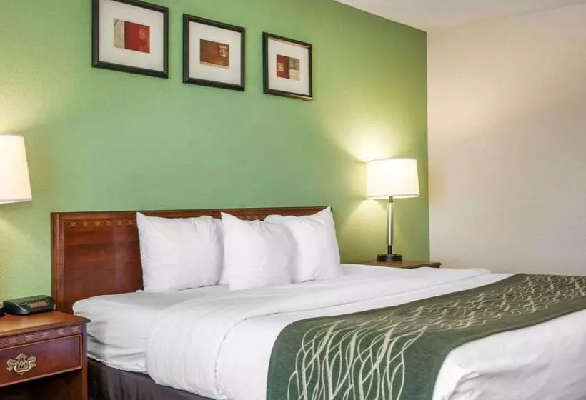 Standard-invahuone King-vuode, Comfort Inn