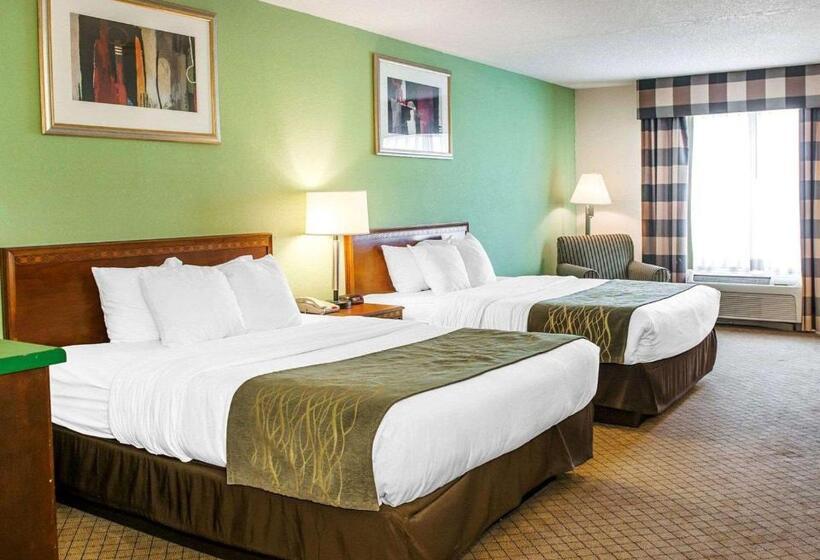 身障者適用クイーンサイズベッドルーム, Comfort Inn