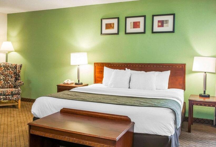 غرفة قياسية سرير ملكى لذوى الإحتياجات الخاصة, Comfort Inn